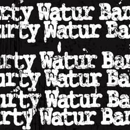 DURTY WATUR BAND image