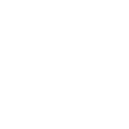 The Play image